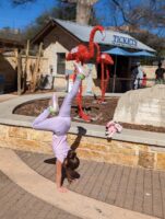 handstand fundraiser