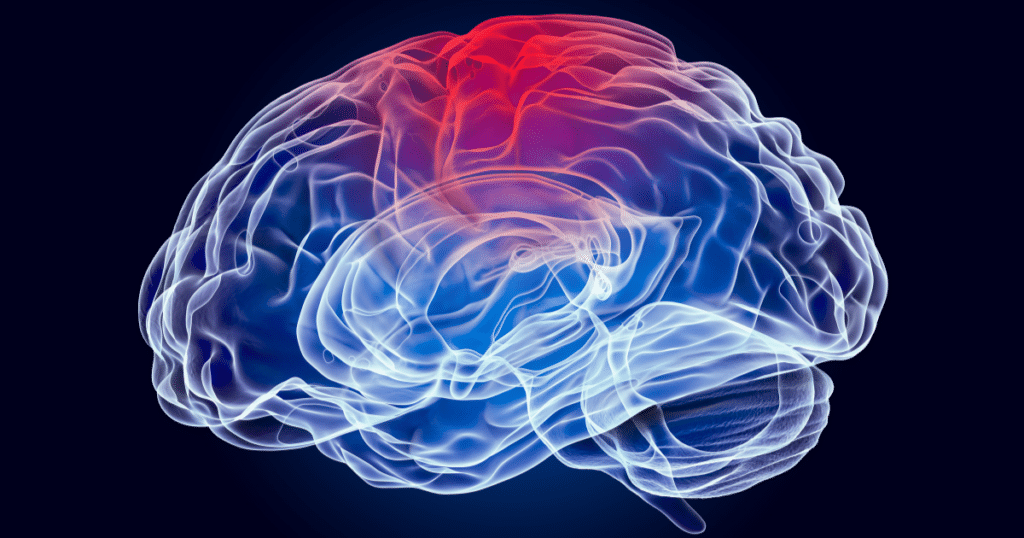 Brain scan or injured brain