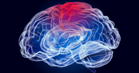 Brain scan or injured brain